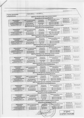 Сертифікат 6